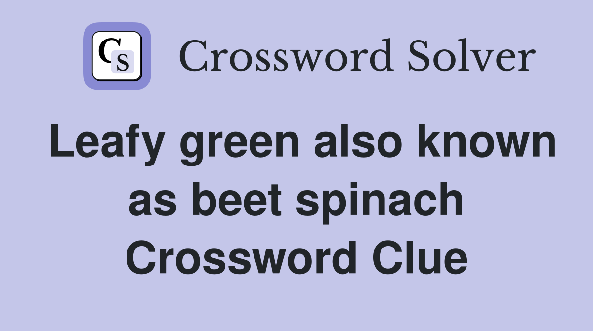 Leafy green also known as beet spinach Crossword Clue