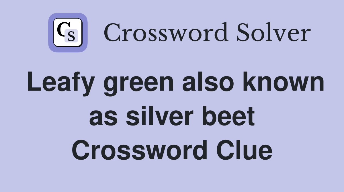 Leafy green also known as silver beet Crossword Clue