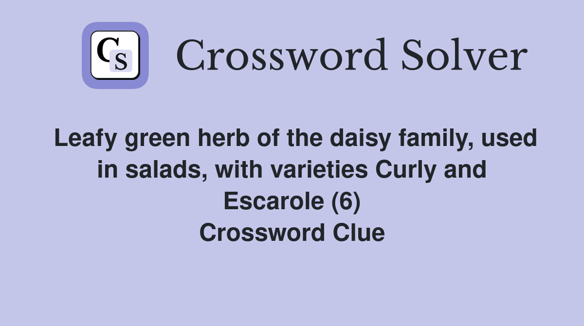 Leafy green herb of the daisy family, used in salads, with varieties Curly and Escarole (6) Crossword Clue