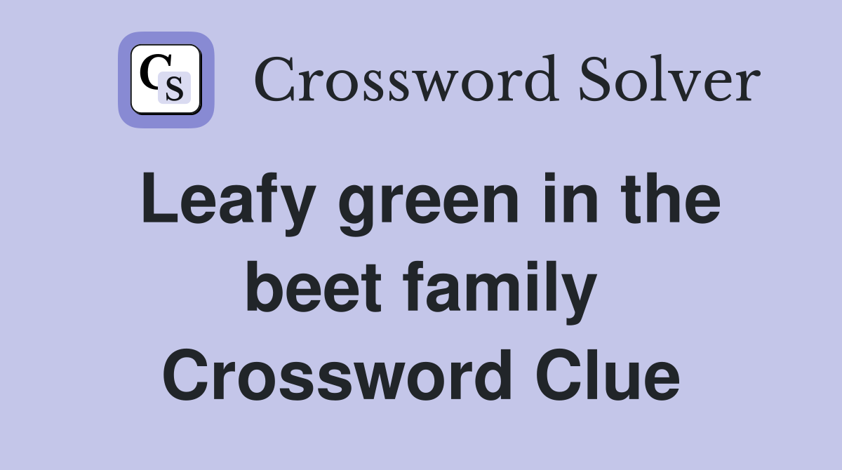 Leafy green in the beet family Crossword Clue