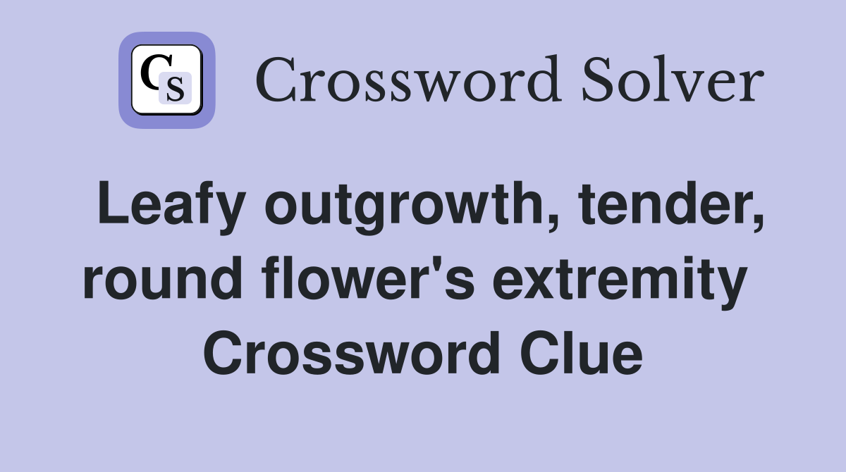 Leafy outgrowth, tender, round flower's extremity  Crossword Clue