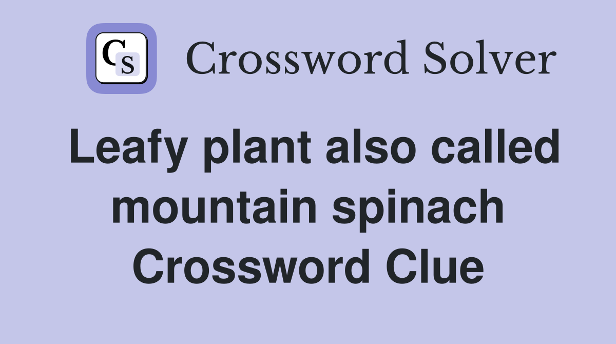 Leafy plant also called mountain spinach Crossword Clue