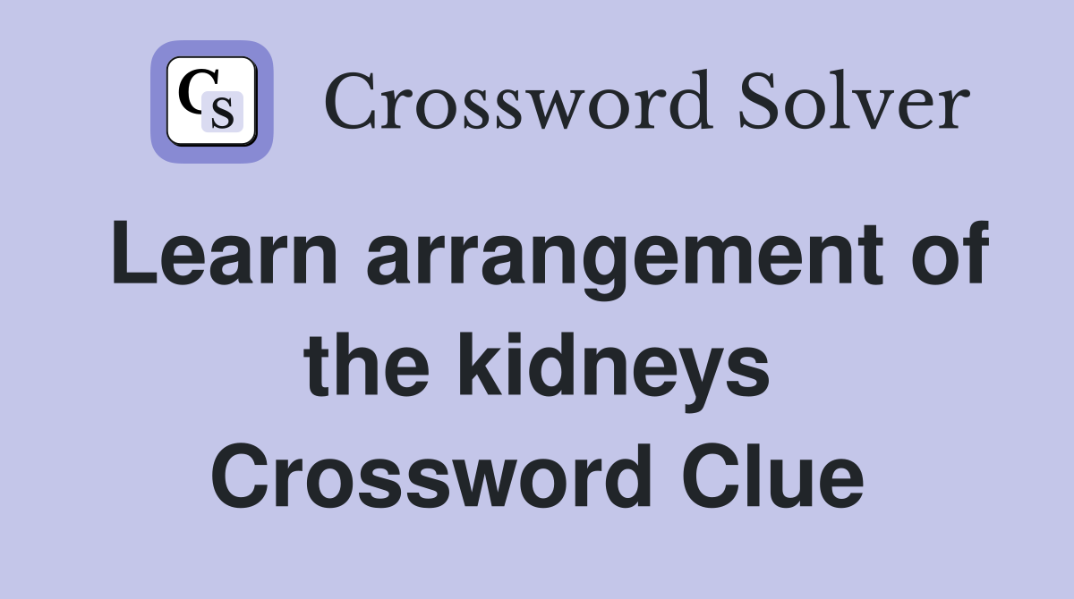Learn arrangement of the kidneys Crossword Clue