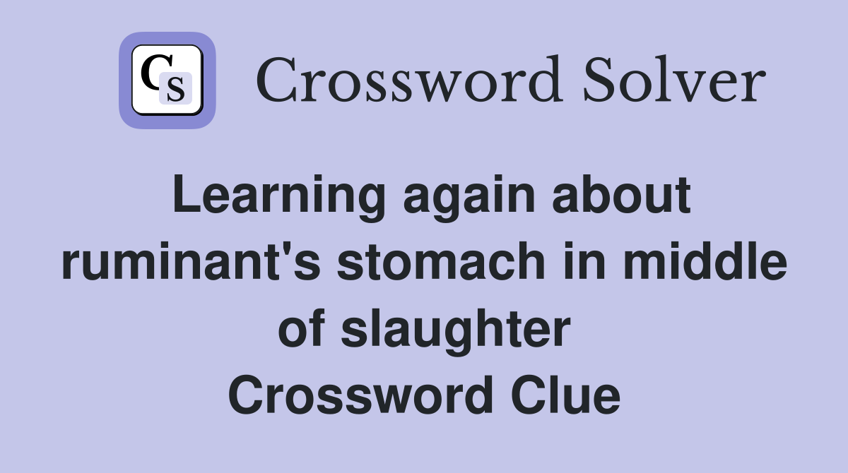 Learning again about ruminant's stomach in middle of slaughter Crossword Clue