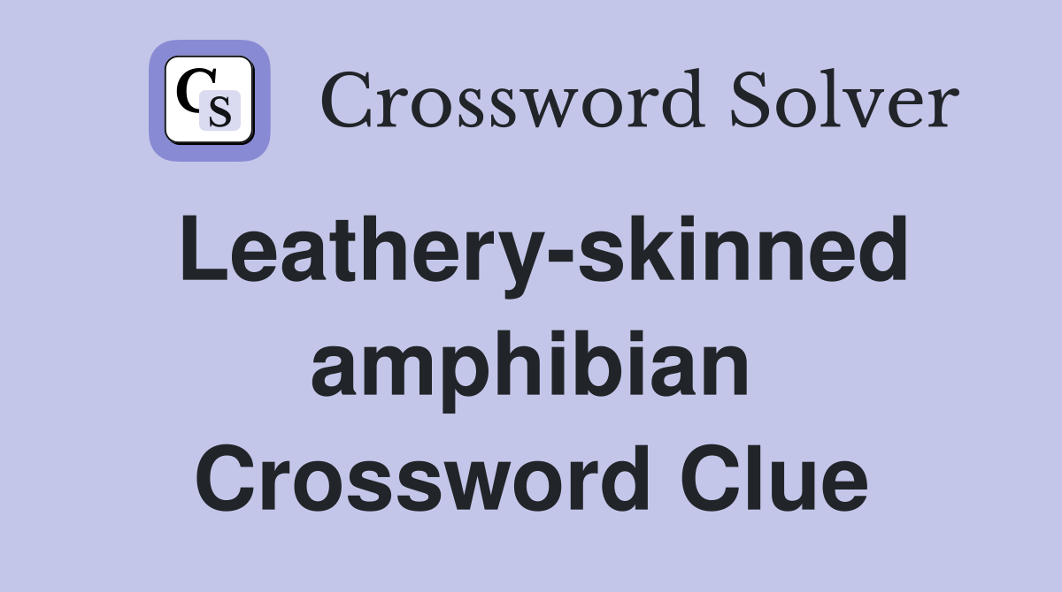 Leathery-skinned amphibian Crossword Clue