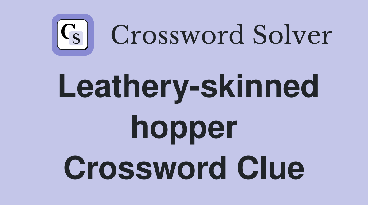 Leathery-skinned hopper Crossword Clue