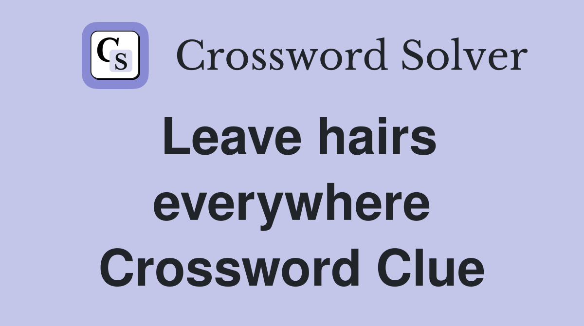 Leave hairs everywhere Crossword Clue