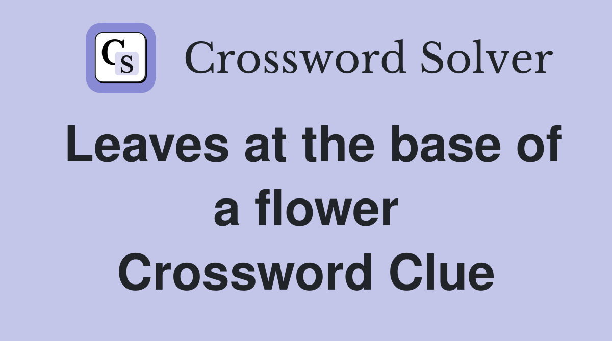 Leaves at the base of a flower Crossword Clue