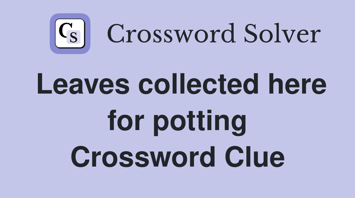 Leaves collected here for potting Crossword Clue