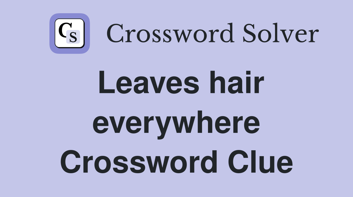 Leaves hair everywhere Crossword Clue
