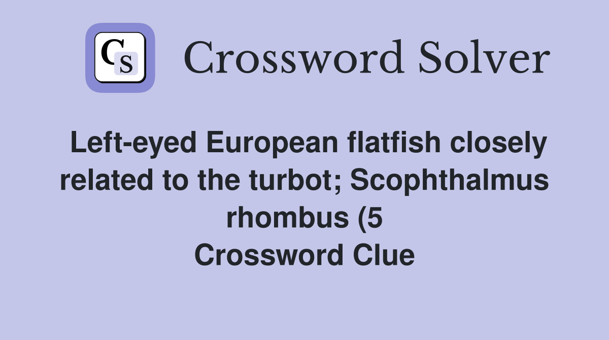 Left eyed European flatfish closely related to the turbot Scophthalmus Left eyed European flatfish closely related to the turbot Scophthalmus