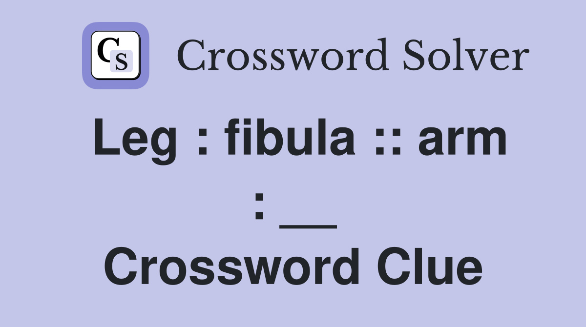 Leg : fibula :: arm : __ Crossword Clue