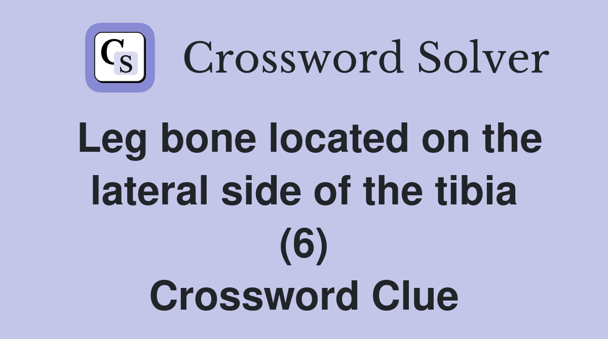 Leg bone located on the lateral side of the tibia (6) Crossword Clue