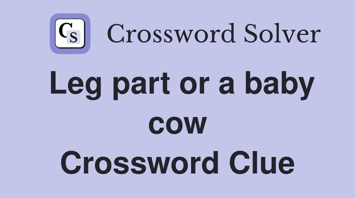 Leg part or a baby cow Crossword Clue