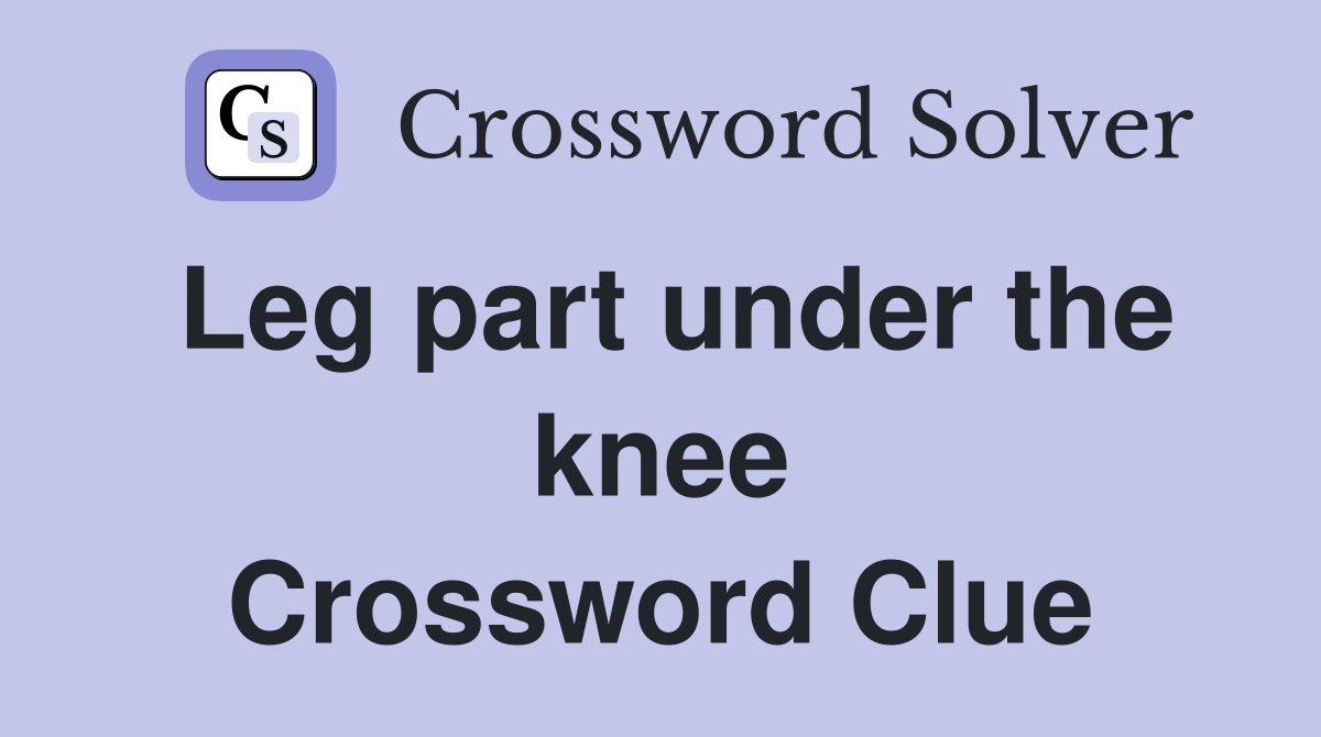 Leg part under the knee Crossword Clue