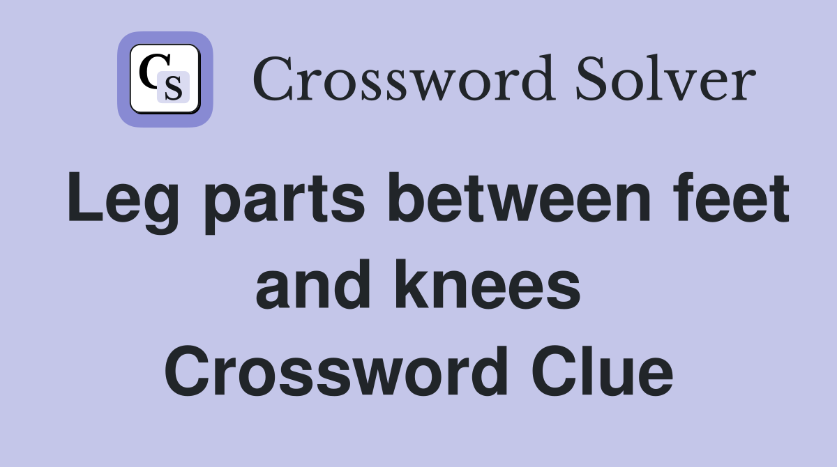 Leg parts between feet and knees Crossword Clue