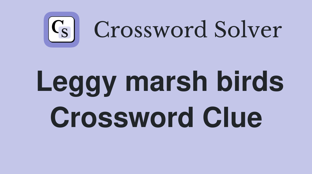 Leggy marsh birds Crossword Clue
