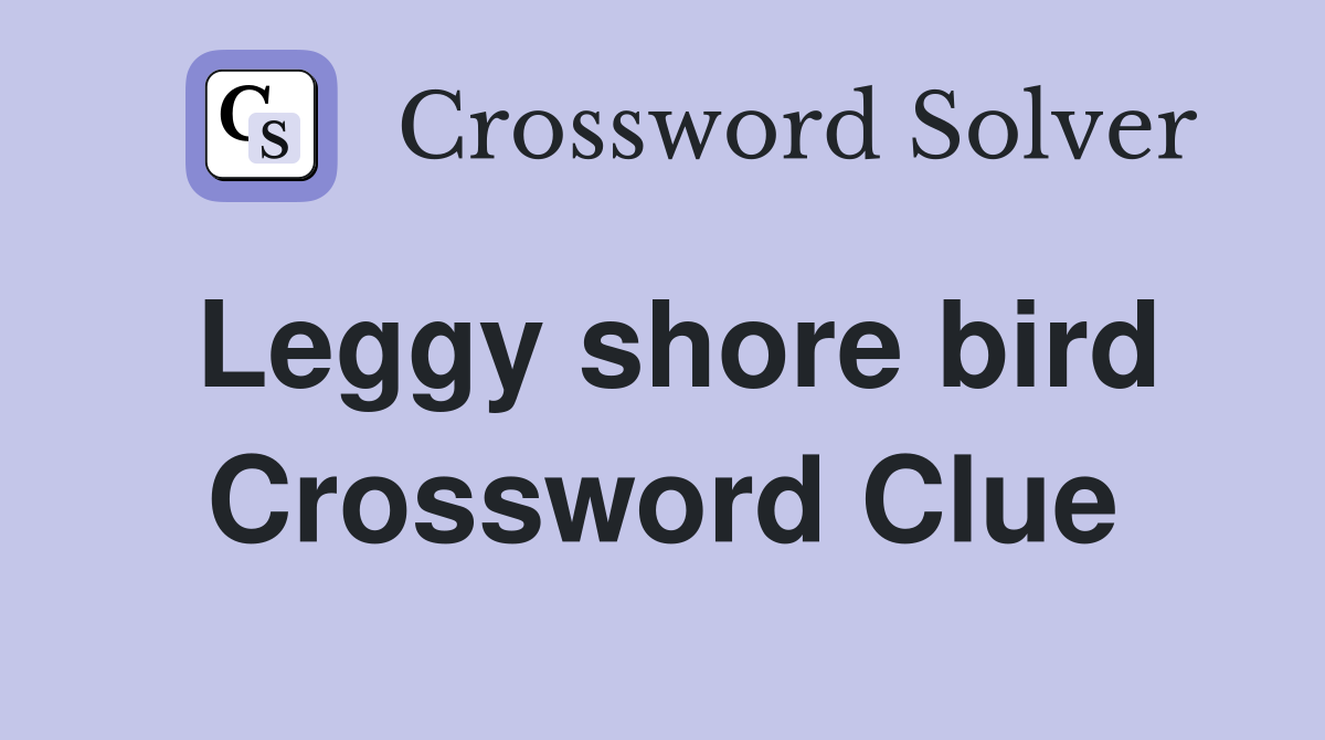 Leggy shore bird Crossword Clue