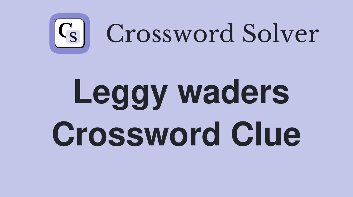 Leggy waders Crossword Clue