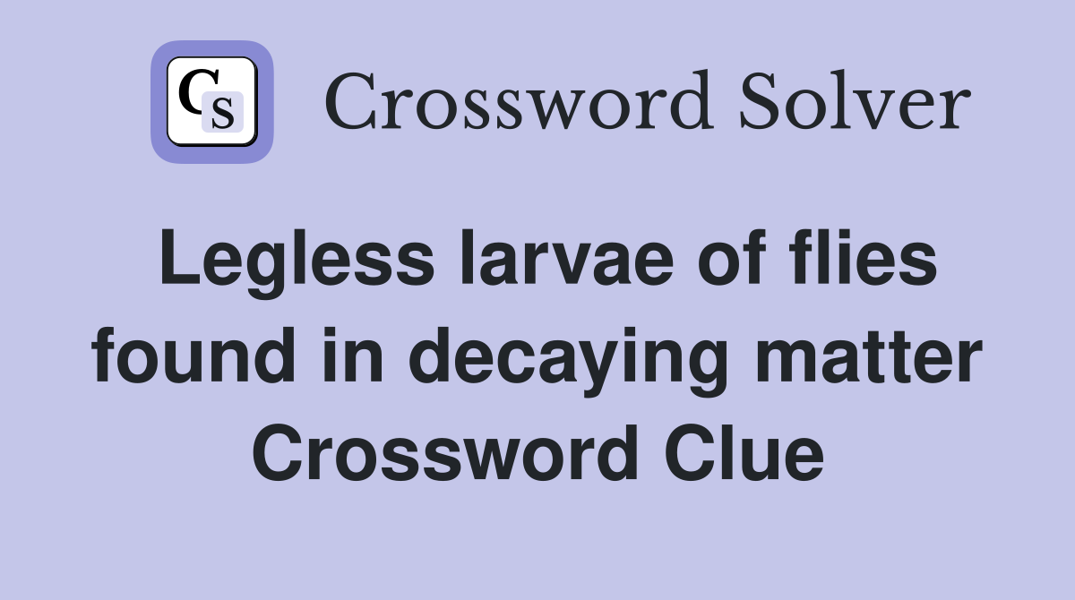 Legless larvae of flies found in decaying matter Crossword Clue
