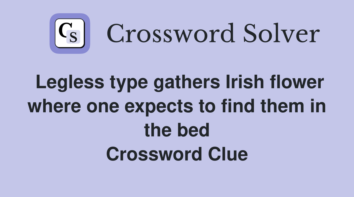 Legless type gathers Irish flower where one expects to find them in the bed Crossword Clue