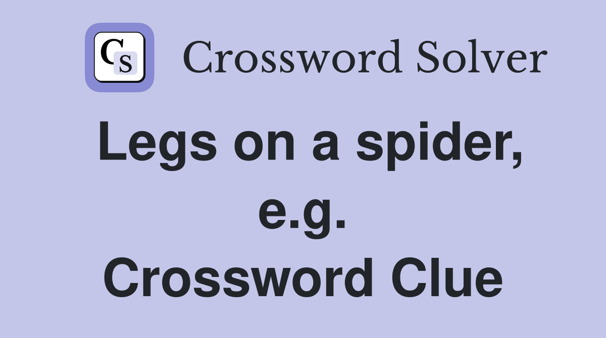 Legs on a spider, e.g. Crossword Clue