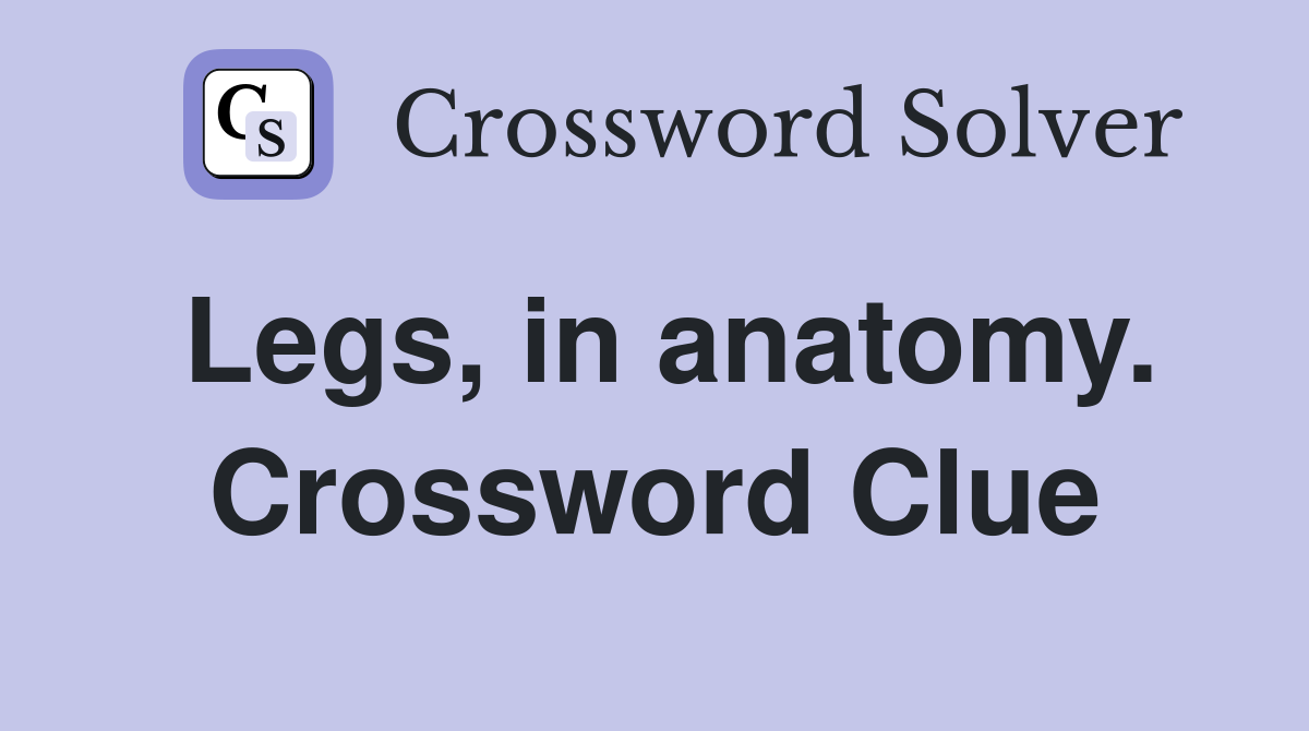 Legs, in anatomy. Crossword Clue