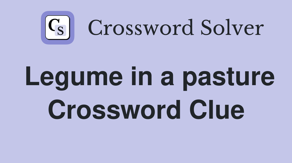 Legume in a pasture Crossword Clue