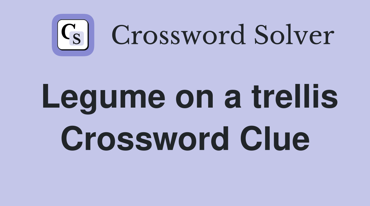 Legume on a trellis Crossword Clue