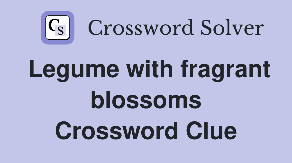 Legume with fragrant blossoms Crossword Clue
