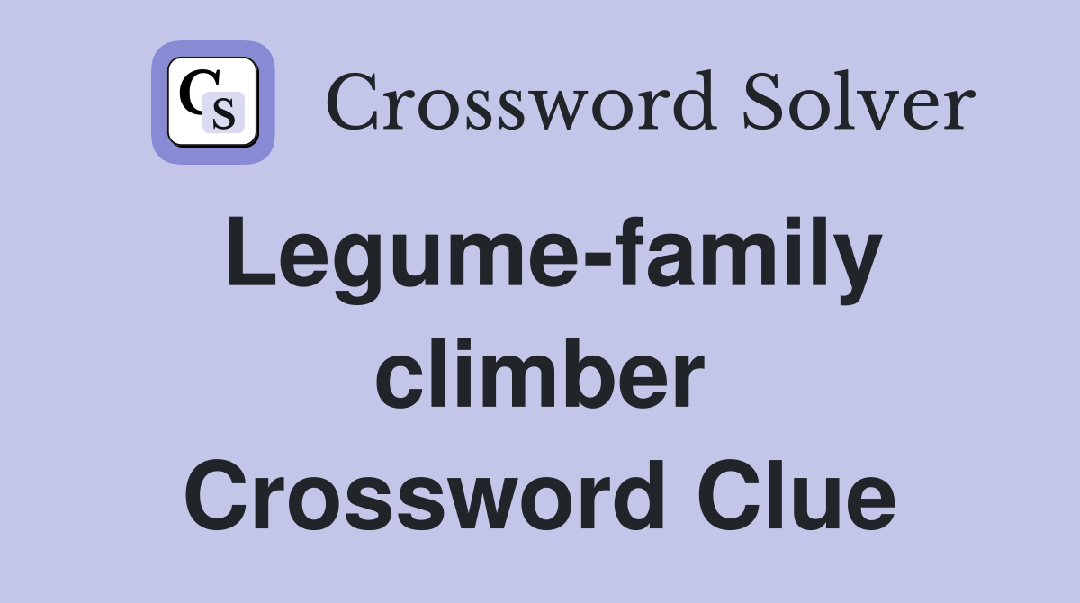 Legume-family climber Crossword Clue
