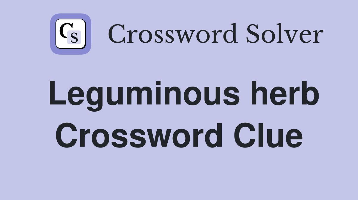 Leguminous herb Crossword Clue