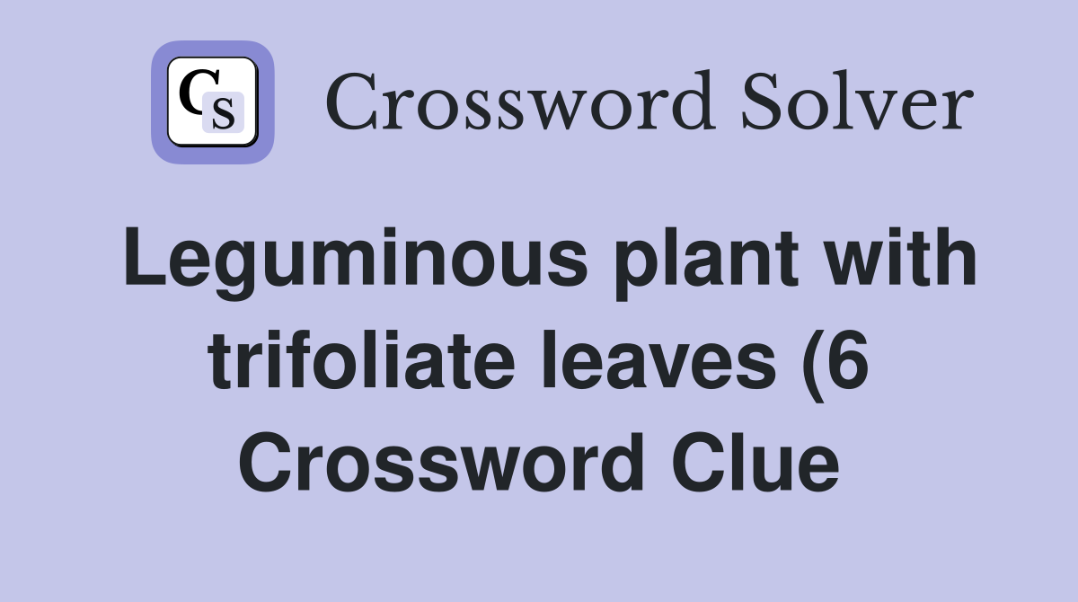Leguminous plant with trifoliate leaves (6) Crossword Clue Answers Leguminous plant with trifoliate leaves (6) Crossword Clue Answers