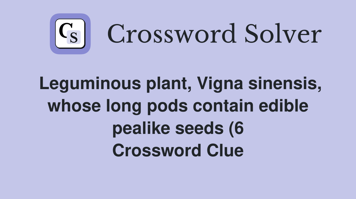 Leguminous plant Vigna sinensis whose long pods contain edible Leguminous plant Vigna sinensis whose long pods contain edible