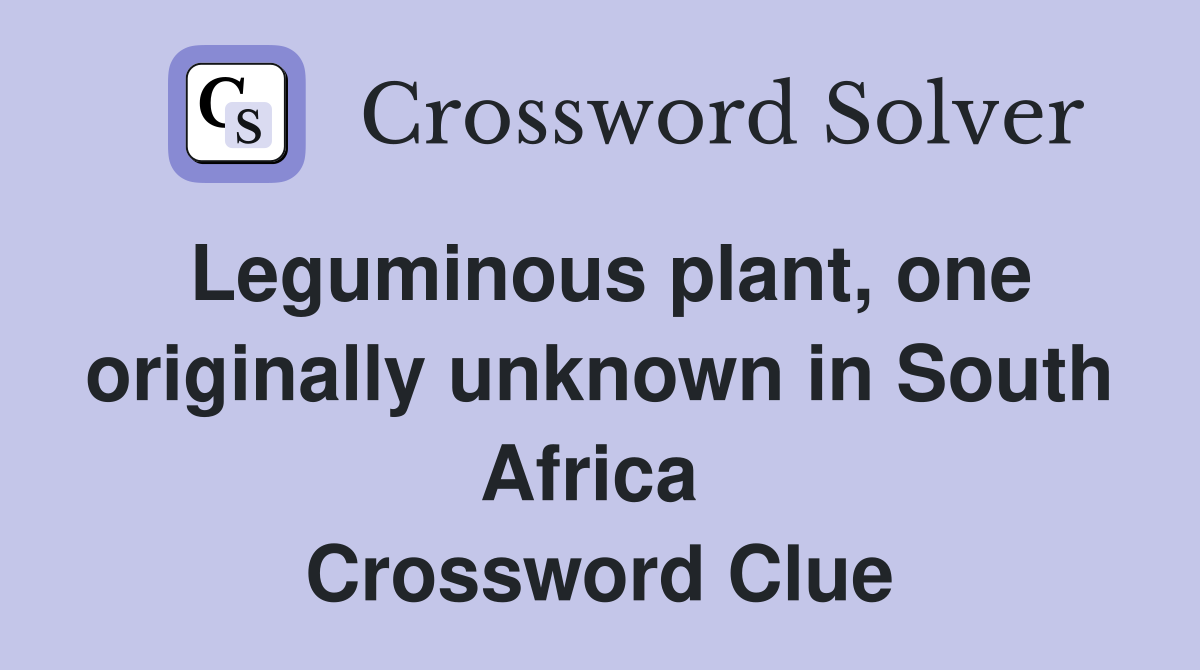 Leguminous plant, one originally unknown in South Africa  Crossword Clue