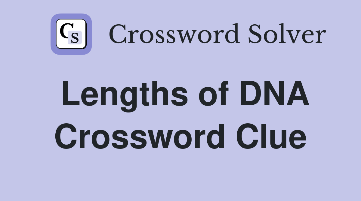 Lengths of DNA Crossword Clue