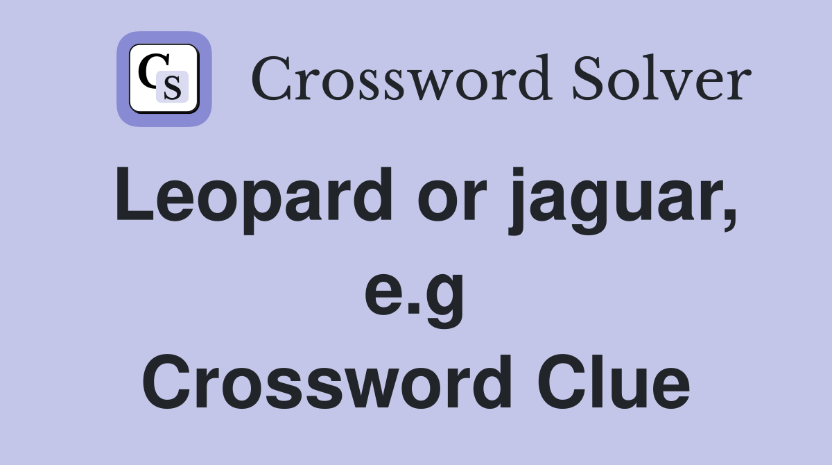 Leopard or jaguar, e.g Crossword Clue