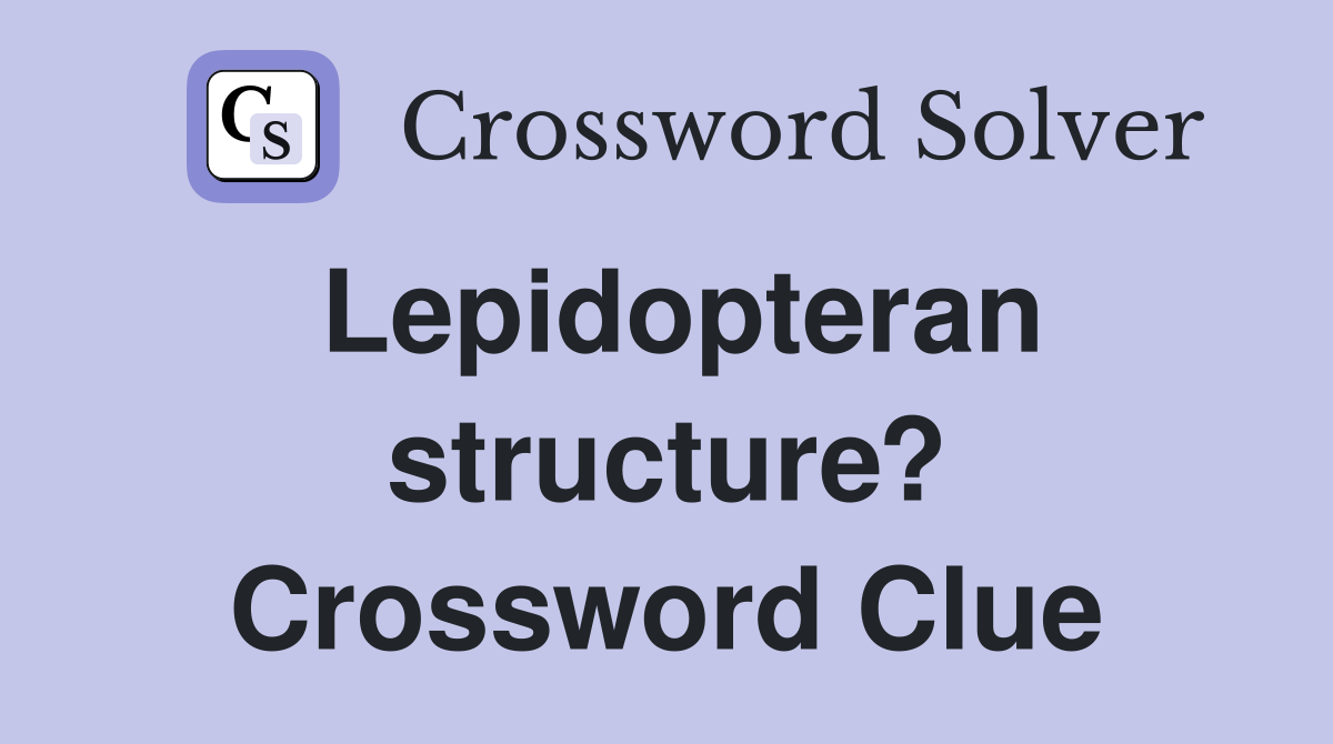 Lepidopteran structure? Crossword Clue