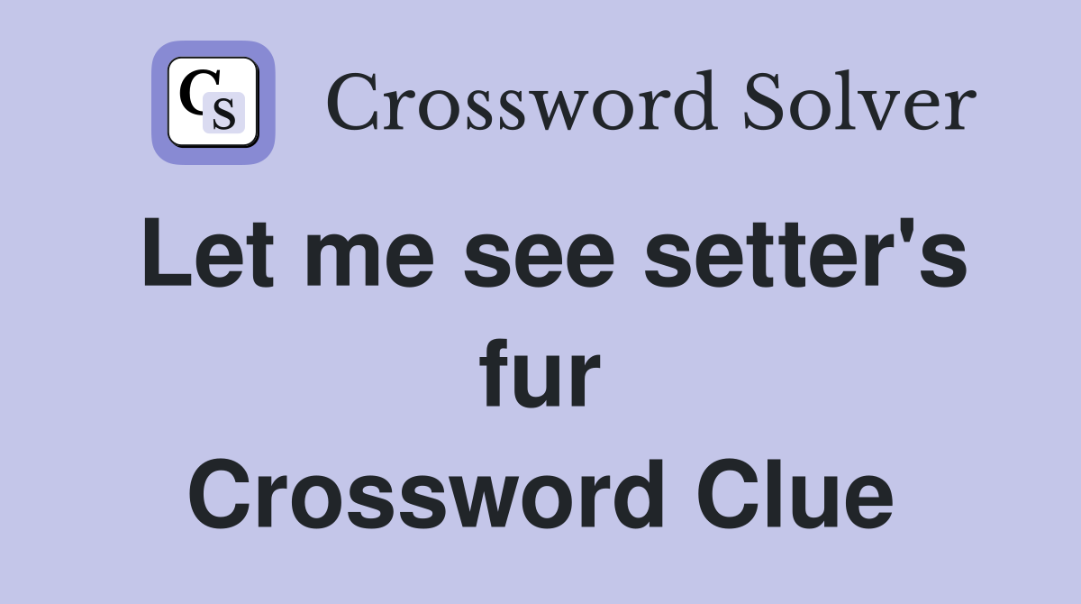 Let me see setter's fur Crossword Clue