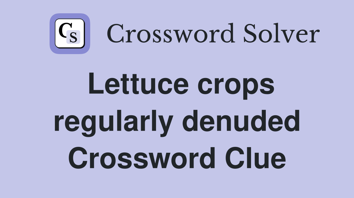 Lettuce crops regularly denuded Crossword Clue