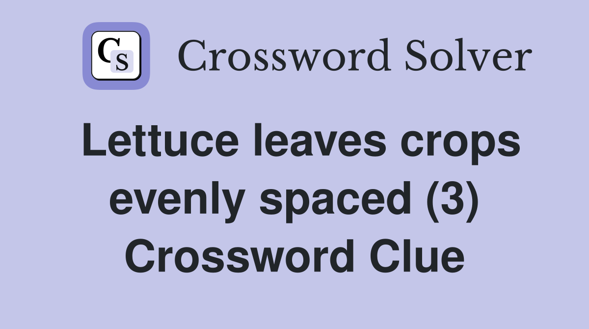 Lettuce leaves crops evenly spaced (3) Crossword Clue