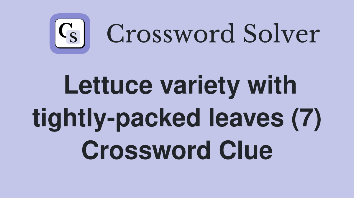Lettuce variety with tightly-packed leaves (7) Crossword Clue