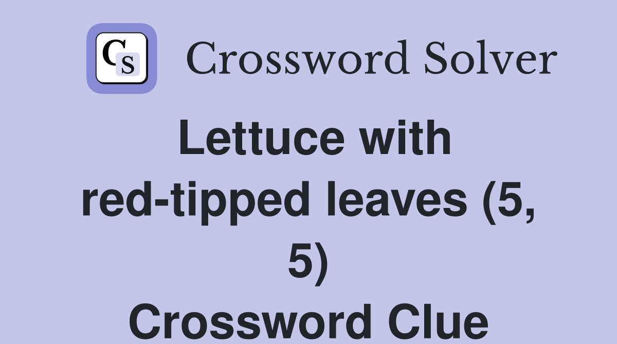Lettuce with red-tipped leaves (5, 5) Crossword Clue