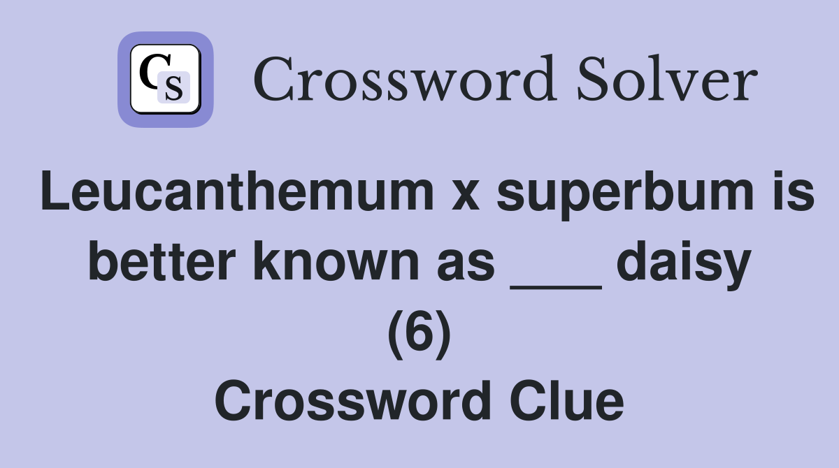 Leucanthemum x superbum is better known as ___ daisy (6) Crossword Clue