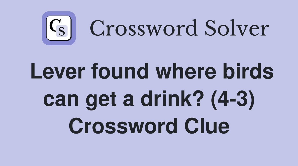 Lever found where birds can get a drink? (4-3) Crossword Clue