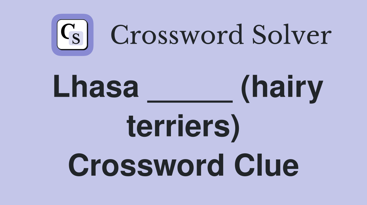 Lhasa _____ (hairy terriers) Crossword Clue