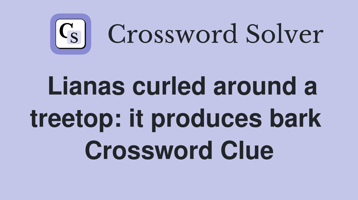 Lianas curled around a treetop: it produces bark  Crossword Clue
