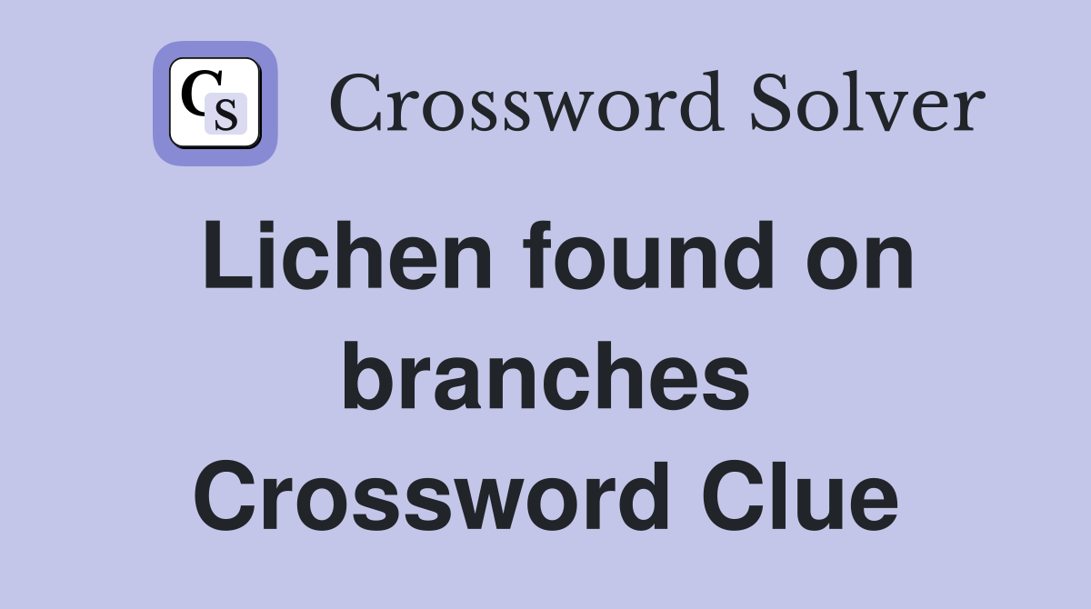 Lichen found on branches Crossword Clue
