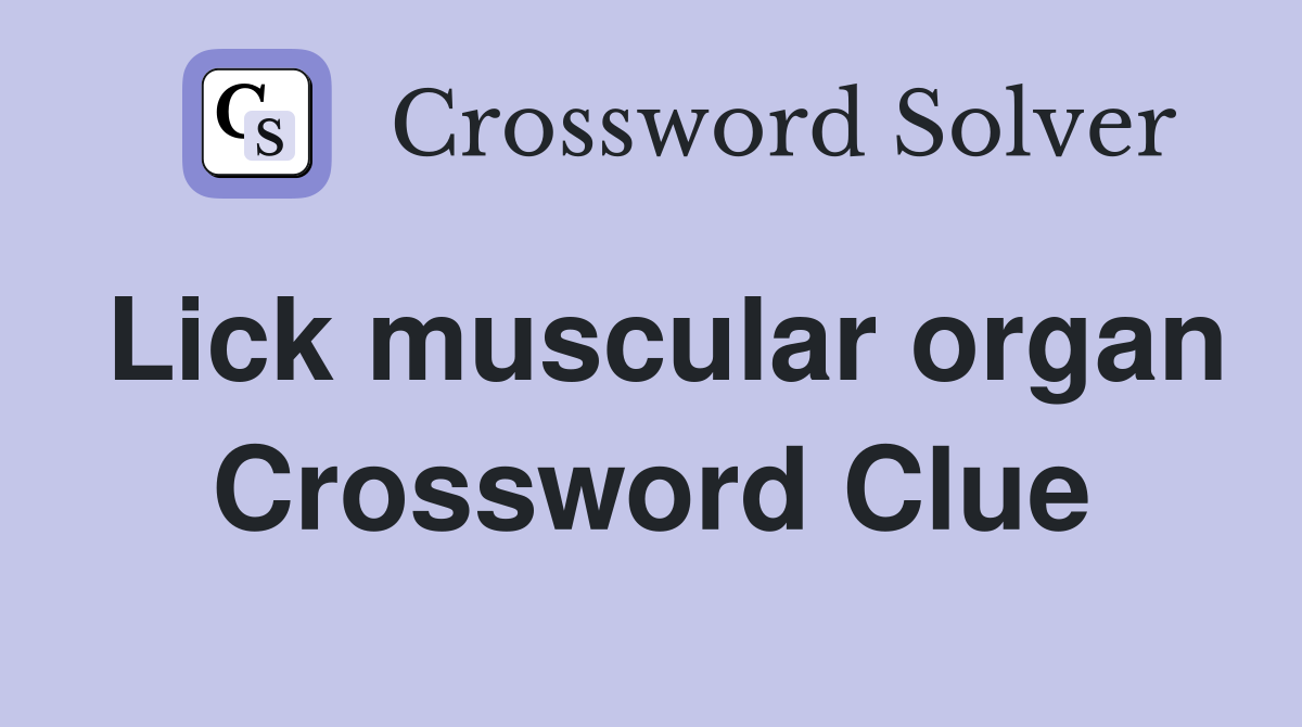 Lick muscular organ Crossword Clue