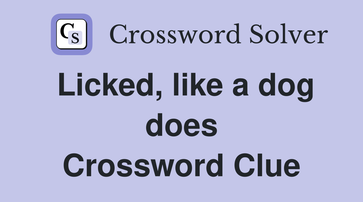 Licked, like a dog does Crossword Clue